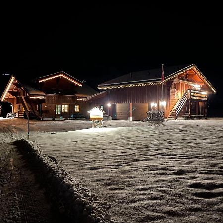 Alpenchalet Weidhaus Gstaad Apartment Luaran gambar