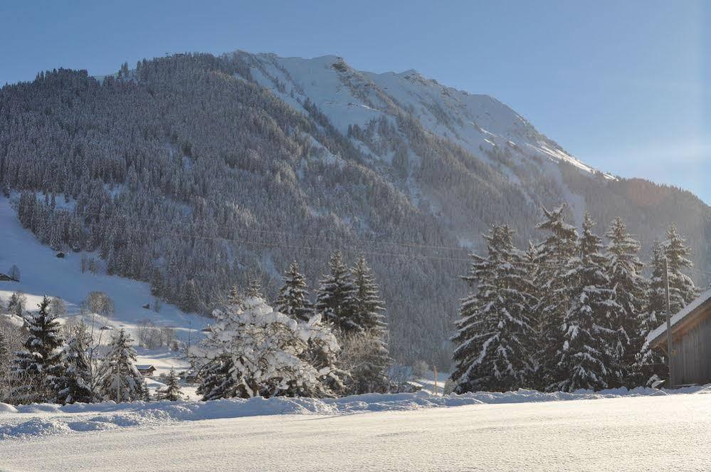 Alpenchalet Weidhaus Gstaad Apartment Luaran gambar