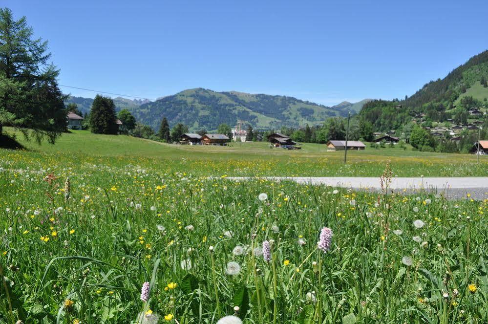 Alpenchalet Weidhaus Gstaad Apartment Luaran gambar