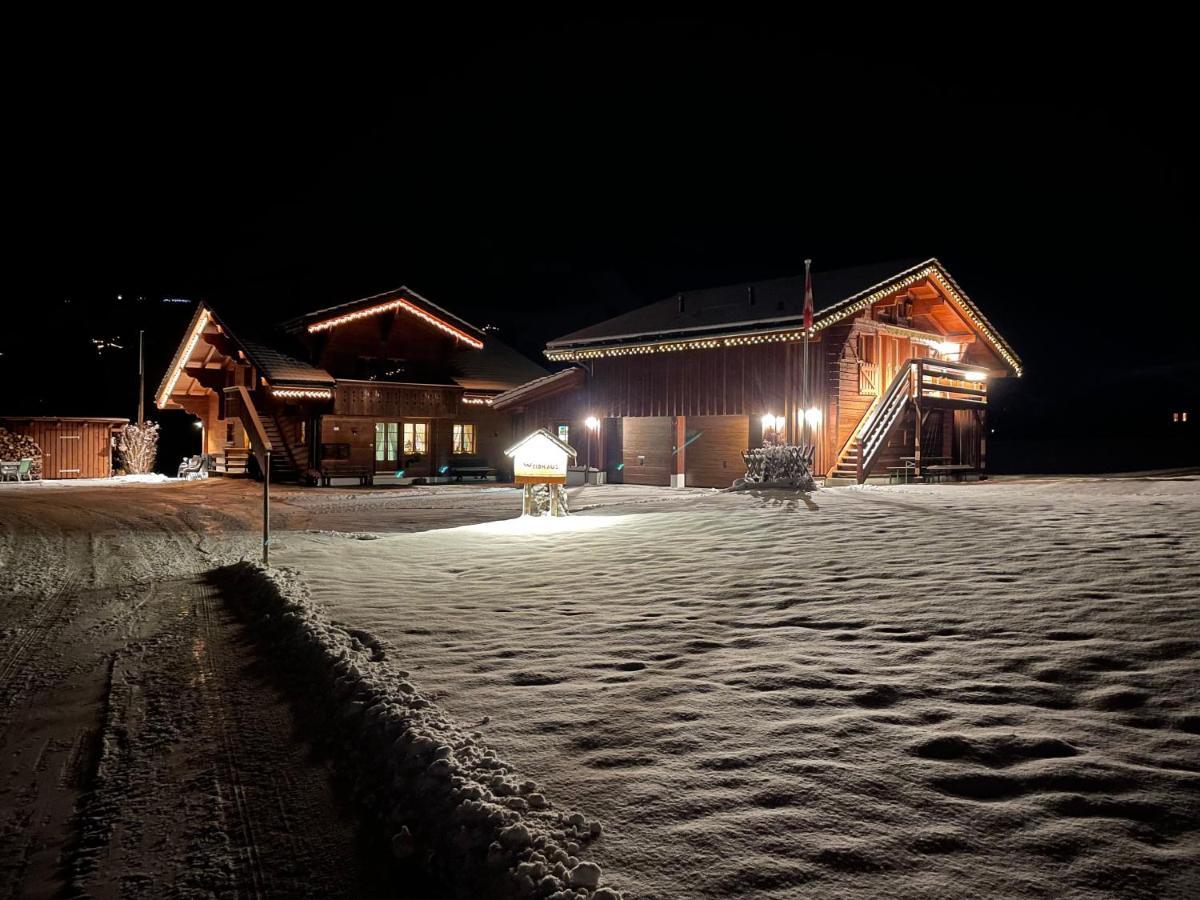 Alpenchalet Weidhaus Gstaad Apartment Luaran gambar