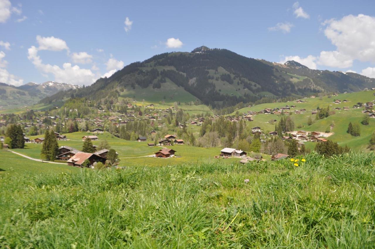 Alpenchalet Weidhaus Gstaad Apartment Luaran gambar