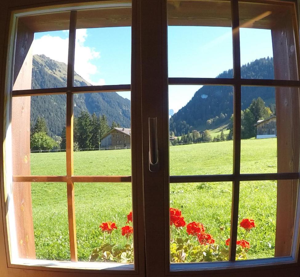 Alpenchalet Weidhaus Gstaad Apartment Luaran gambar