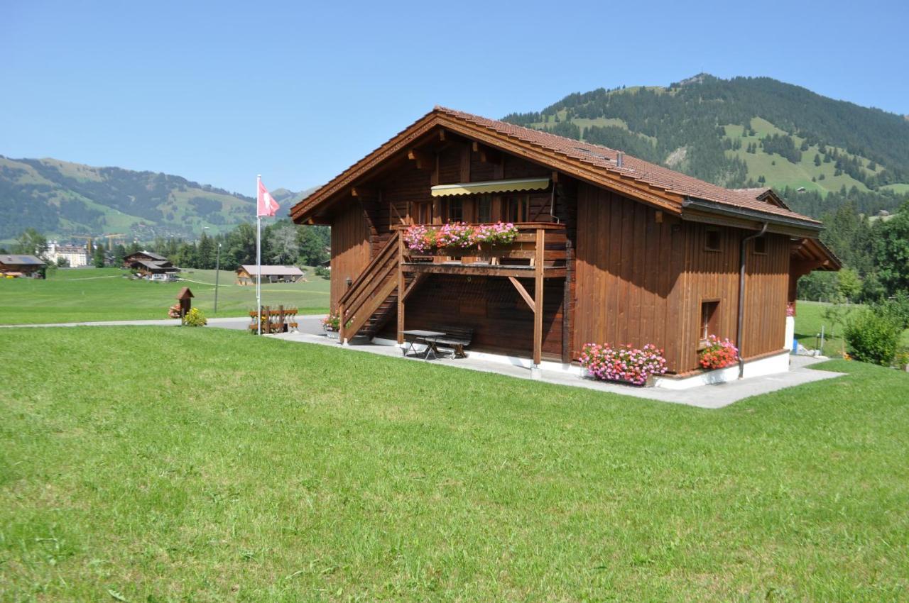 Alpenchalet Weidhaus Gstaad Apartment Luaran gambar