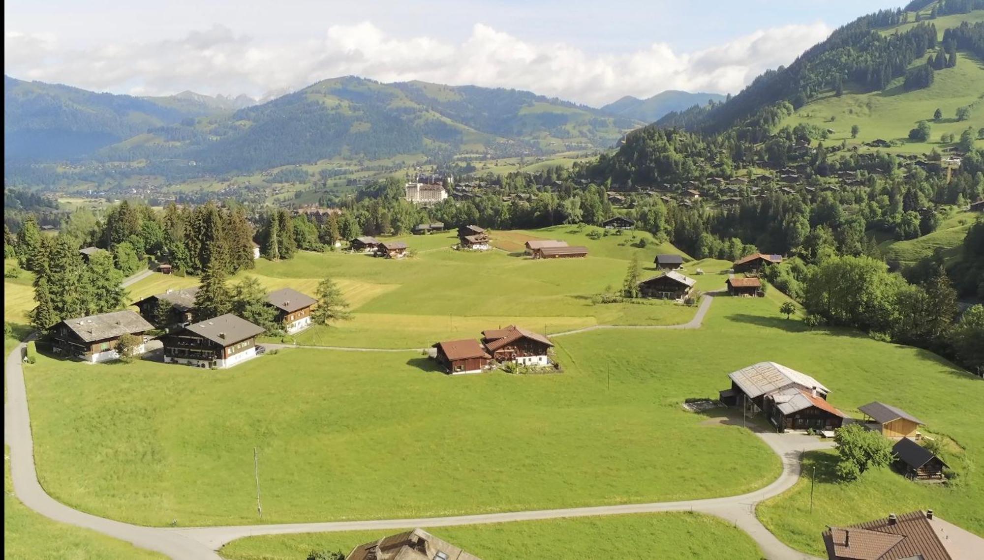 Alpenchalet Weidhaus Gstaad Apartment Luaran gambar