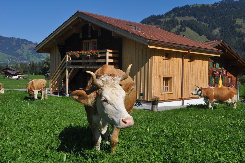 Alpenchalet Weidhaus Gstaad Apartment Luaran gambar