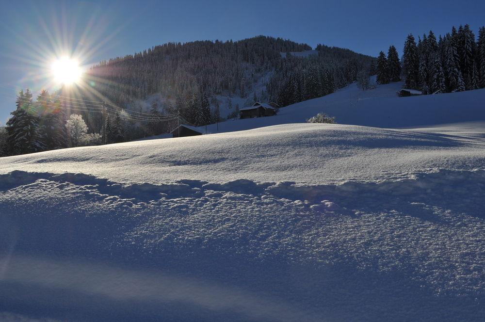 Alpenchalet Weidhaus Gstaad Apartment Luaran gambar