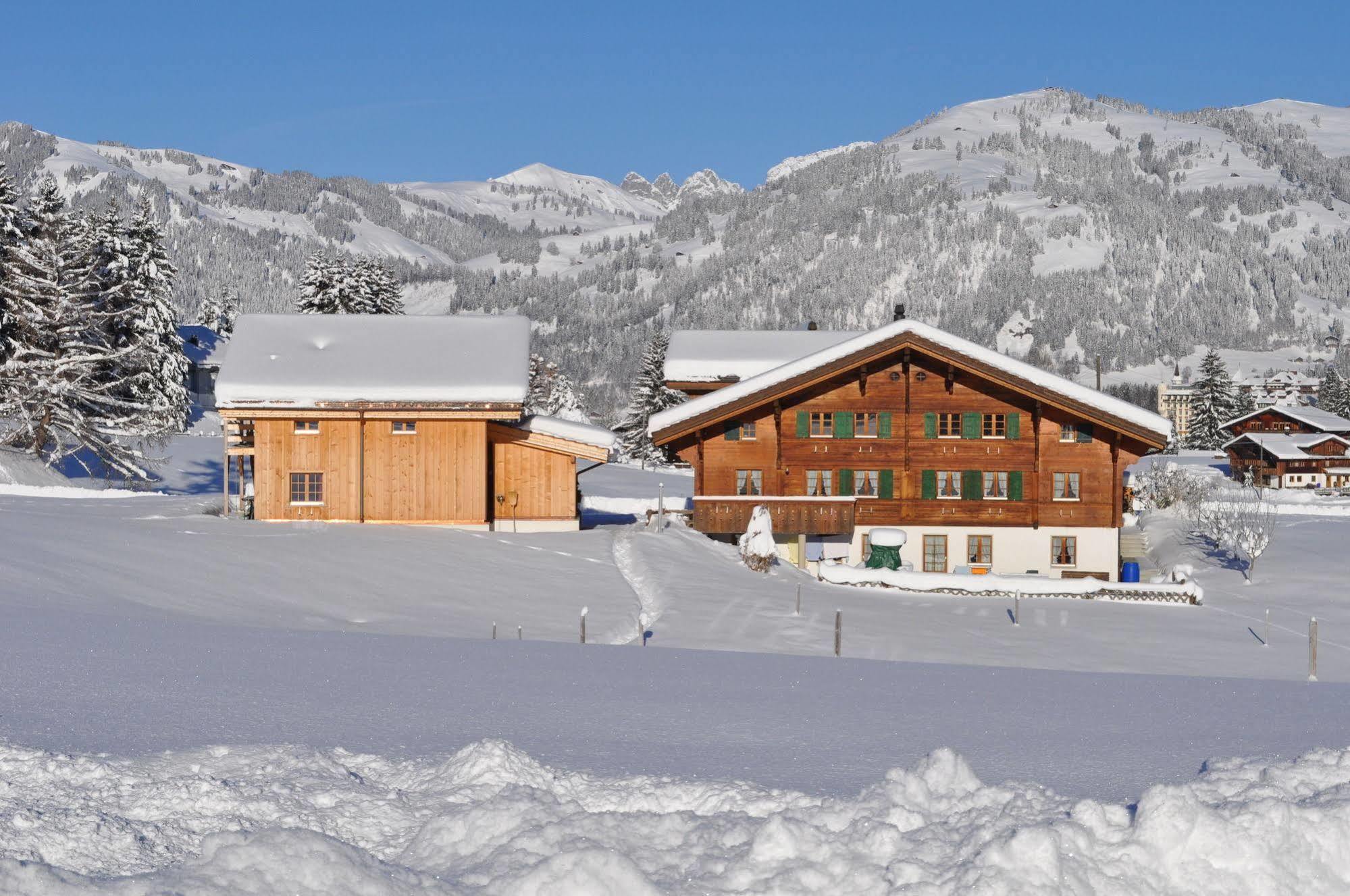 Alpenchalet Weidhaus Gstaad Apartment Luaran gambar