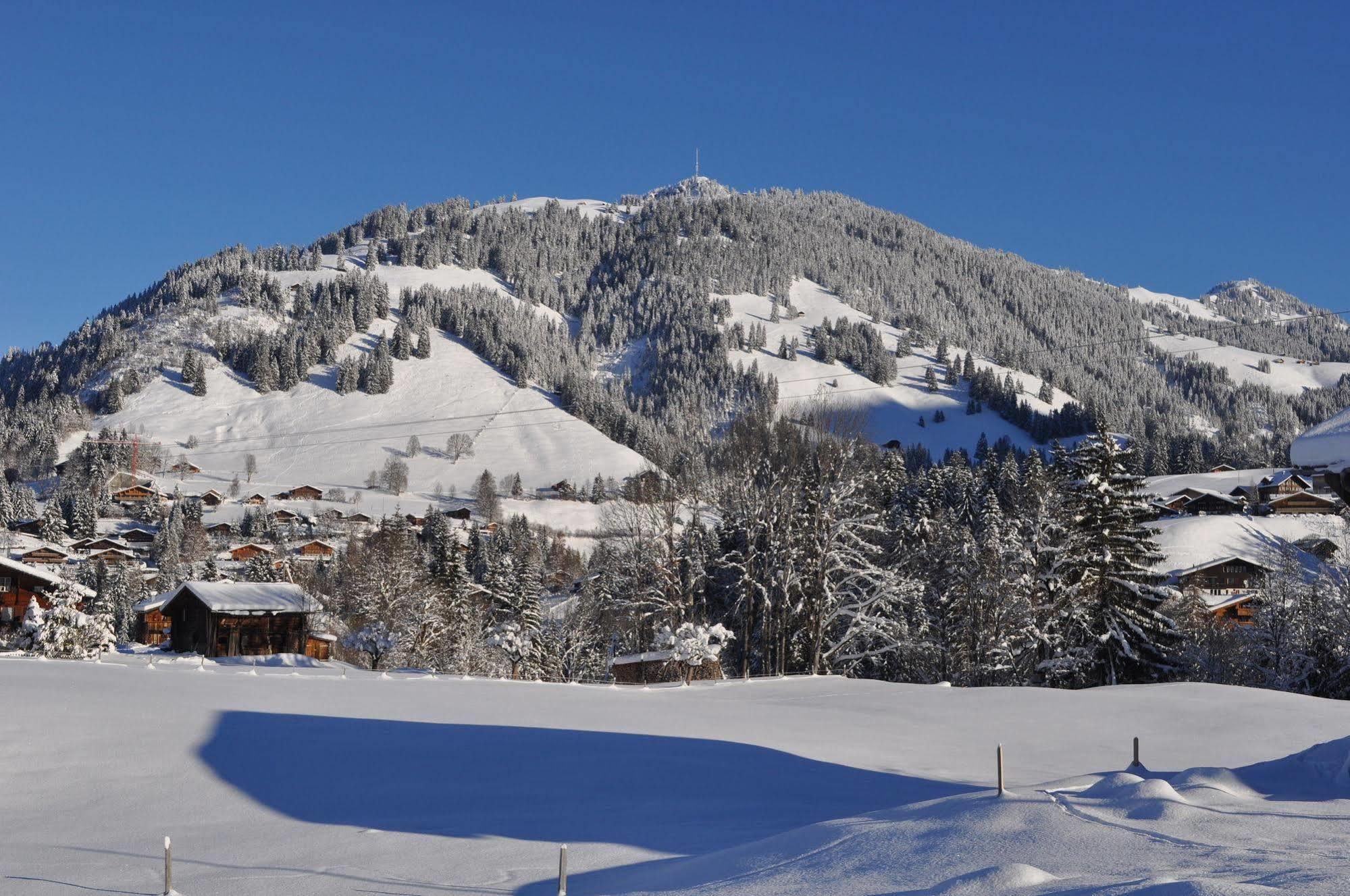 Alpenchalet Weidhaus Gstaad Apartment Luaran gambar